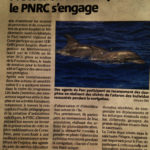 Revue de presse