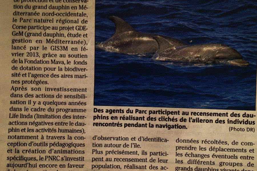 Revue de presse
