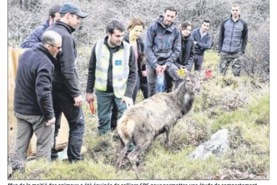 Revue de presse