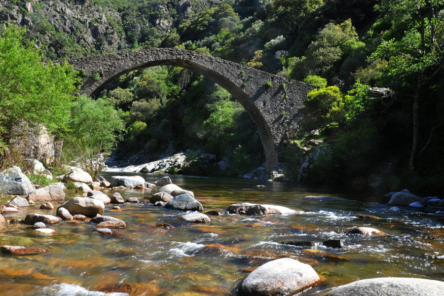 Le sentier de la Spilonca