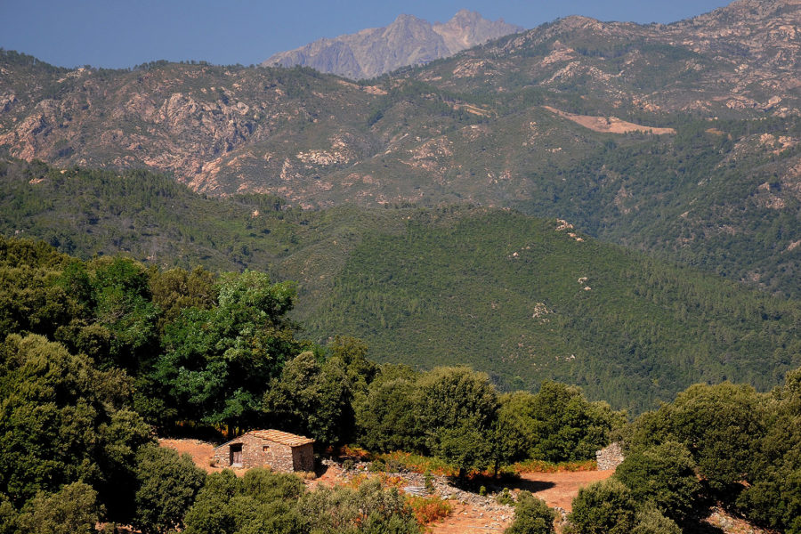 Sentier forestier de la Haute Vallée de la Gravona