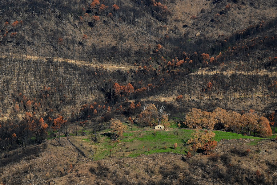 Rallye-nature : Da u neru a u verde