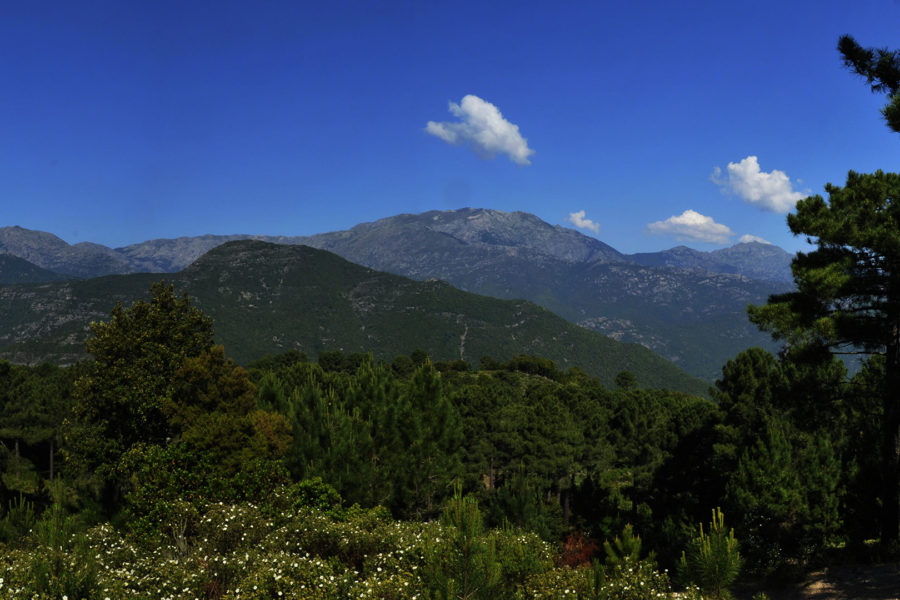 Sentier da u pinu à u Piralzu