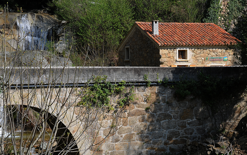 Ouverture de la Maison d’information de Rezza